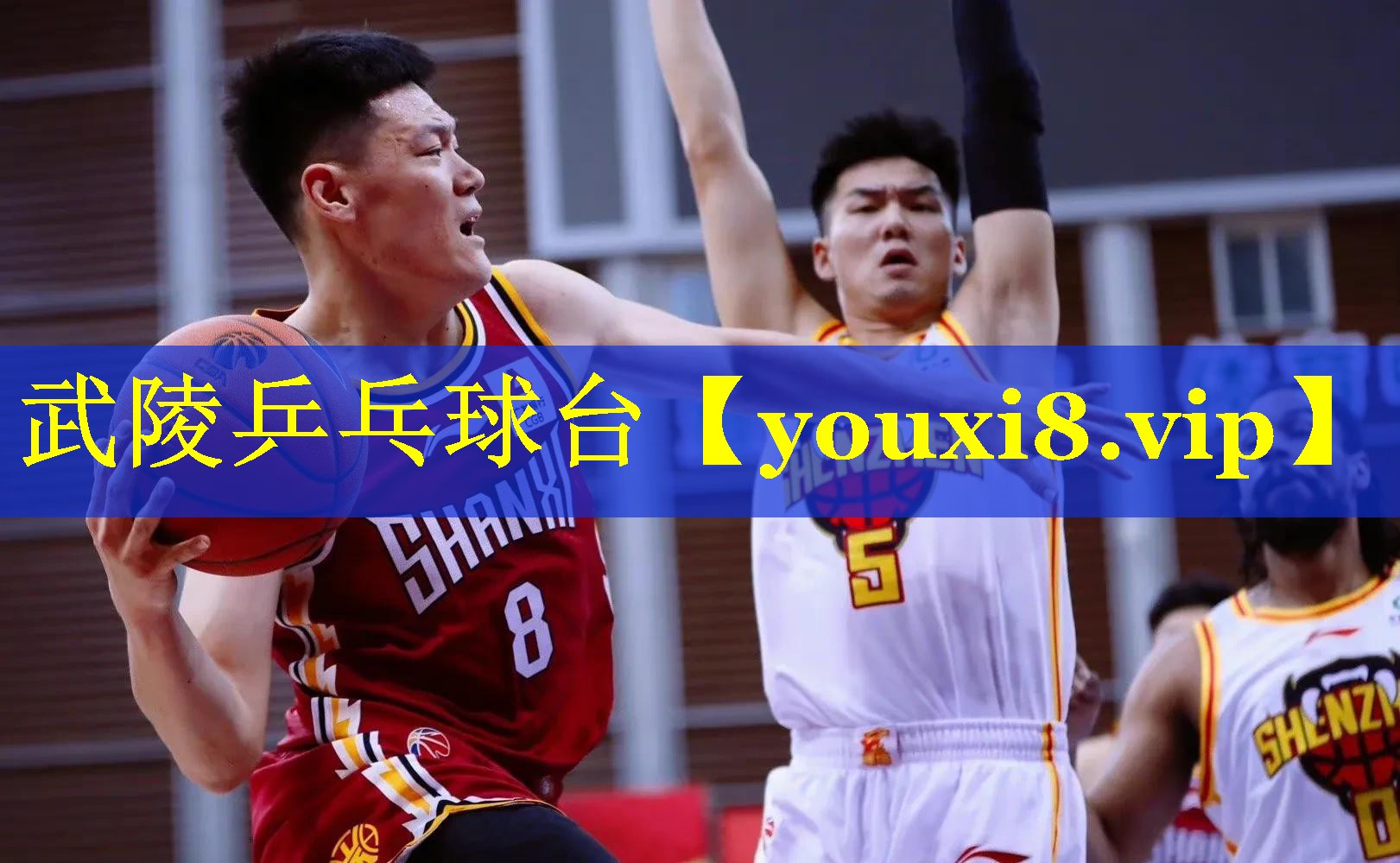 武陵乒乓球台