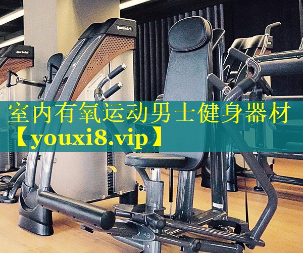 室内有氧运动男士健身器材