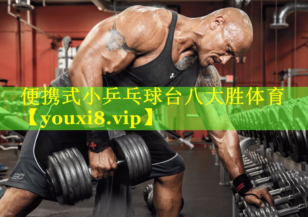 便携式小乒乓球台八大胜体育