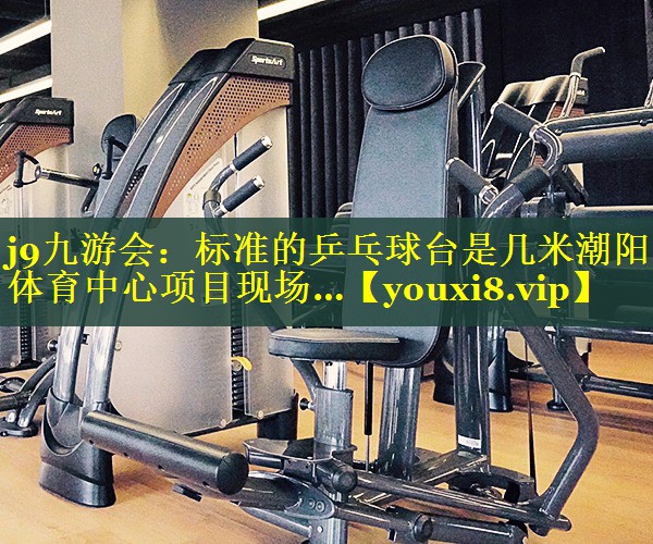 j9九游会：标准的乒乓球台是几米潮阳体育中心项目现场…