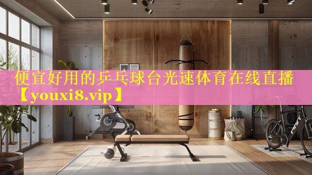 便宜好用的乒乓球台光速体育在线直播