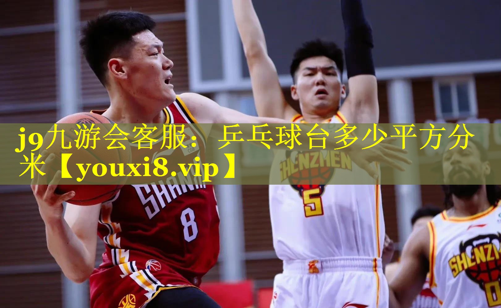j9九游会客服：乒乓球台多少平方分米