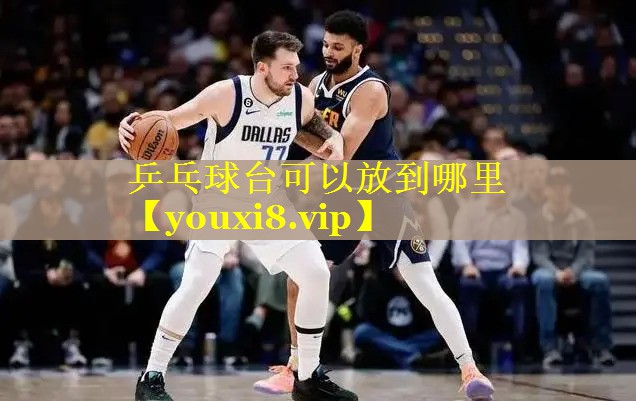 乒乓球台可以放到哪里