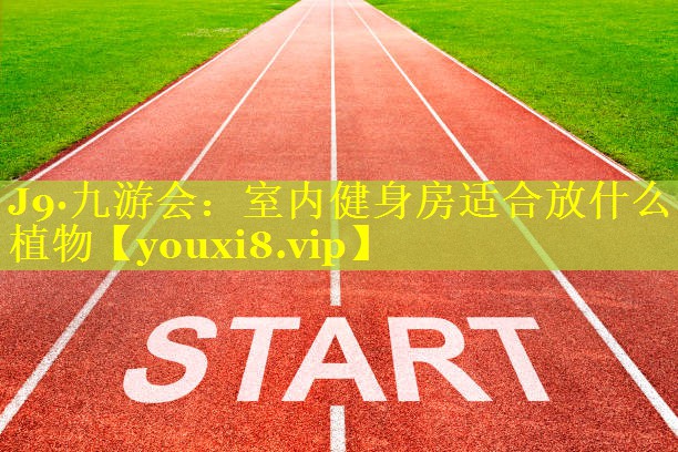 室内健身房适合放什么植物