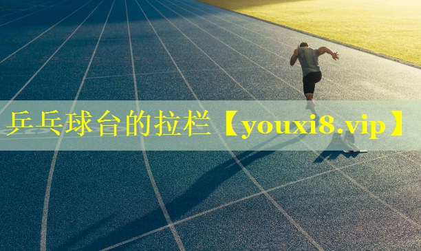 乒乓球台的拉栏 乒乓球台的拉栏