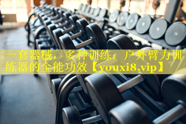 一套器械,多种训练:户外臂力训练器的全能功效 一套器械,多种训练:户外臂力训练器的全能功效