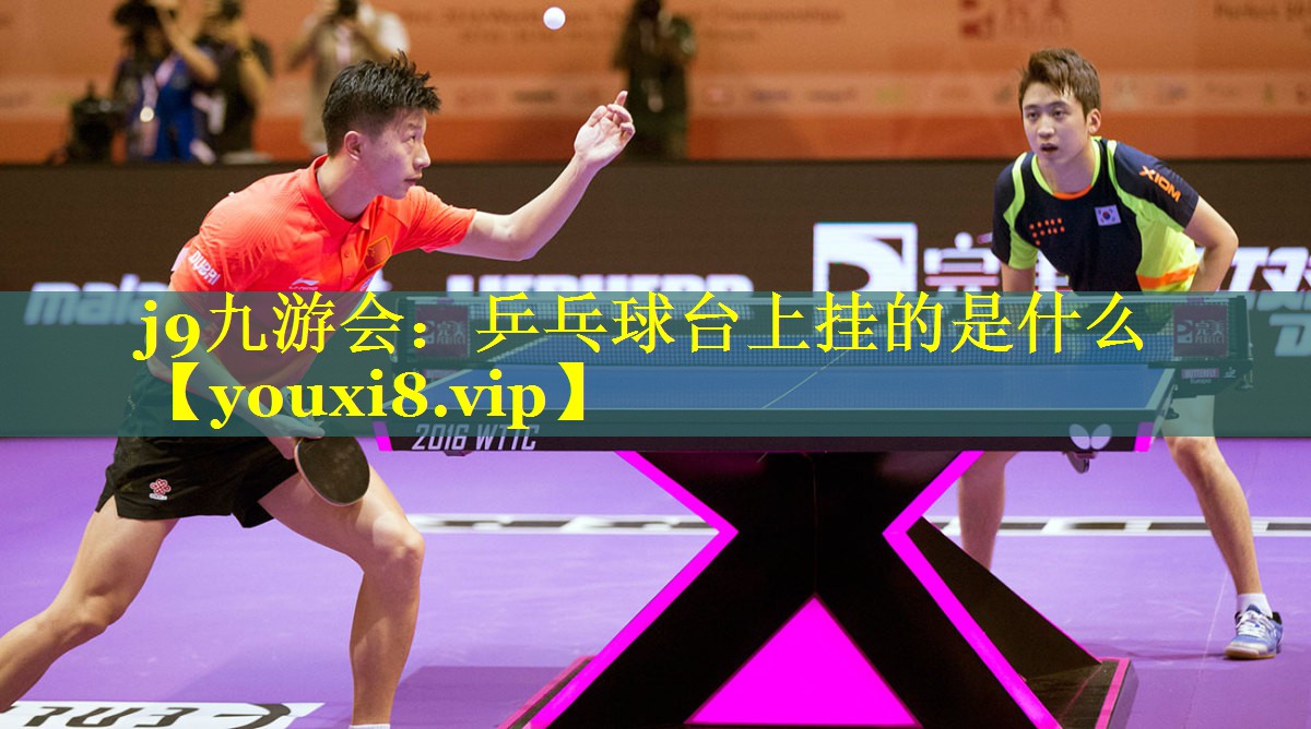 乒乓球台上挂的是什么 乒乓球台上挂的是什么