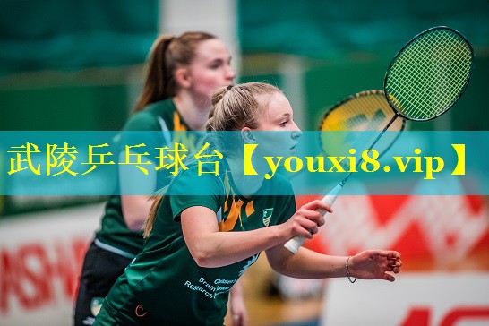 武陵乒乓球台 武陵乒乓球台