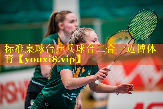 标准桌球台乒乓球台二合一迈博体育