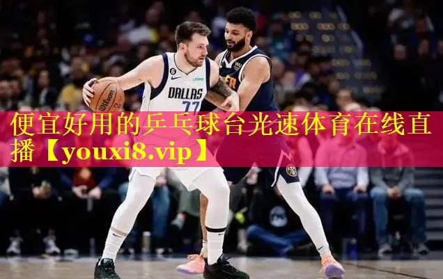 便宜好用的乒乓球台光速体育在线直播