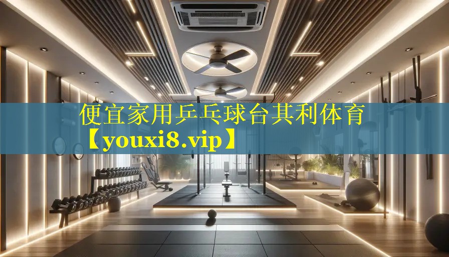 便宜家用乒乓球台其利体育